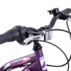 Professional Shocker 20 Inch Wheel Kids Mountain Bike Purple -Shimano Bike Store 81fgawpm5bl. ac sl1500