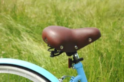 Ammaco Classique Dutch Lifestyle Bike Blue -Shimano Bike Store DSC 0015 2