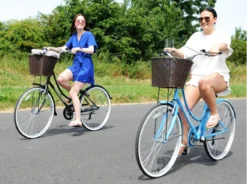 Ammaco Classique Dutch Lifestyle Bike Black -Shimano Bike Store DSC 0042