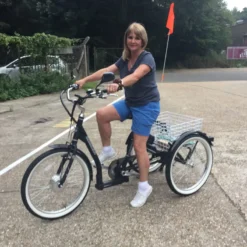 Mission E-Mission Electric Adult Tricycle Silver