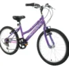 Professional Enchant 20 Inch Kids Bike Purple -Shimano Bike Store ENCHANTEDJ