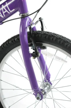 Professional Enchant 20 Inch Kids Bike Purple -Shimano Bike Store ENCHANTEDe