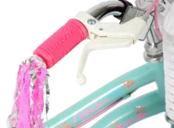 Salcano Muki 14 Inch Wheel Kids Bike Turquoise -Shimano Bike Store MUKI2014dE